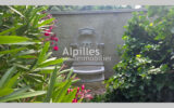 Maison à vendre à Aureille — Vue nature — photo 4