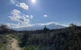 Terrain à vendre à Tresserre — Vue sur la ville — photo 9