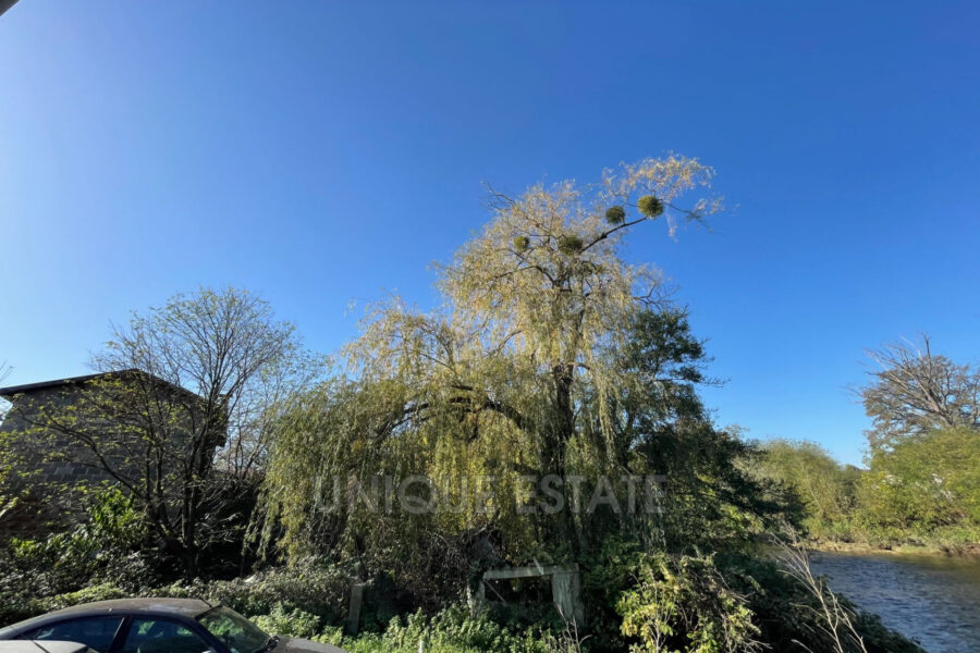 Maison à vendre à Courpière — Vue parc & jardin — photo 4