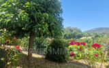 Maison à vendre à Tourves — Vue nature — photo 1
