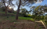 Maison à vendre à Grimaud — Vue nature — photo 1