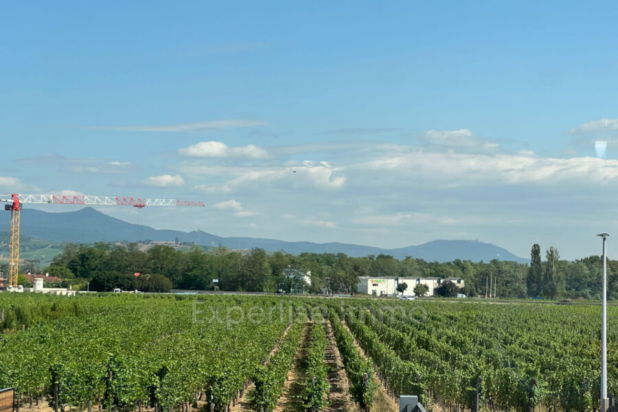 Maison à vendre à Ingersheim — Vue montagne — photo 14