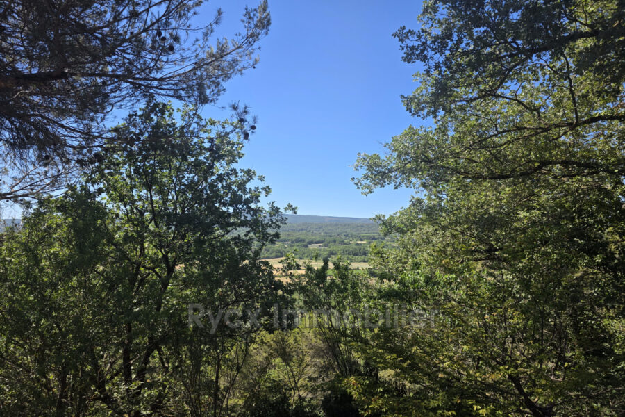 Maison à vendre à Goult — Vue nature — photo 16