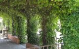 Maison à vendre à Cotignac — Vue nature — photo 10