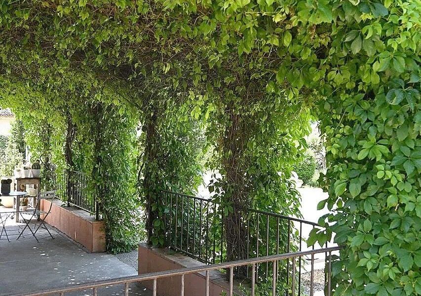 Maison à vendre à Cotignac — Vue nature — photo 10