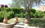 Maison à vendre à Mougins — Vue parc & jardin — photo 16