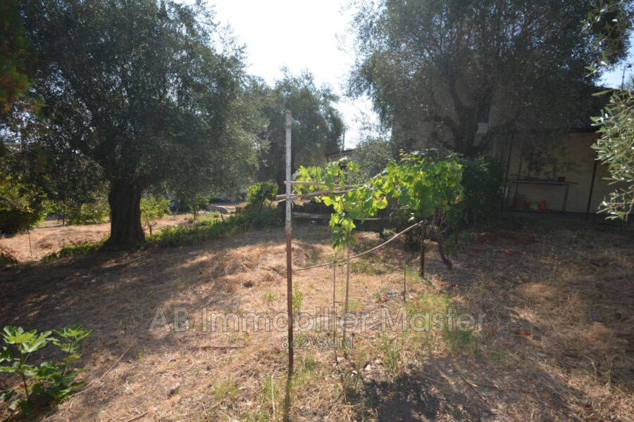 Maison à vendre à Vallauris — Vue nature — photo 1