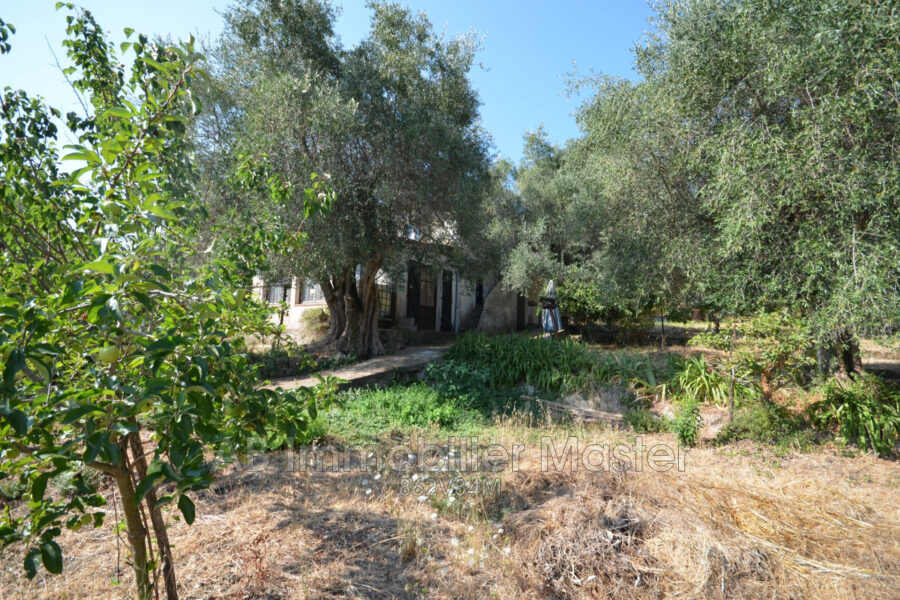 Maison à vendre à Vallauris — Vue nature — photo 3