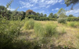 Terrain à vendre à Peymeinade — Vue nature — photo 5