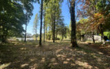 Terrain à vendre à Juigné-des-Moutiers — Vue lac — photo 2
