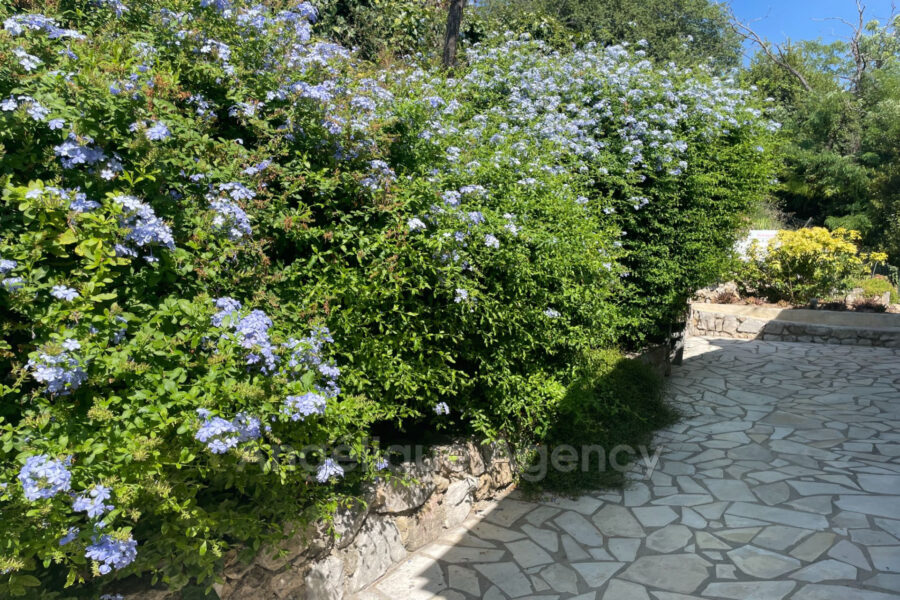 Maison à vendre à Vence — Vue nature — photo 13