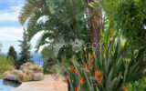 Maison à vendre à Rayol-Canadel-sur-Mer — Vue mer — photo 12