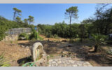 Maison à vendre à Tourves — Vue nature — photo 11