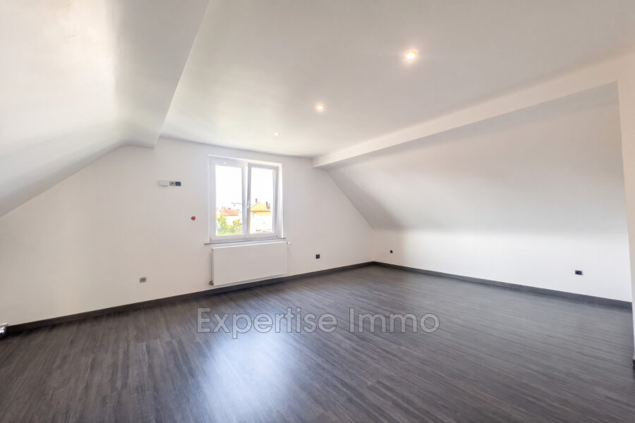 Maison à vendre à Colmar — Vue nature — photo 16