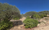 Maison à vendre à Saint-Saturnin-lès-Apt — Vue montagne — photo 17