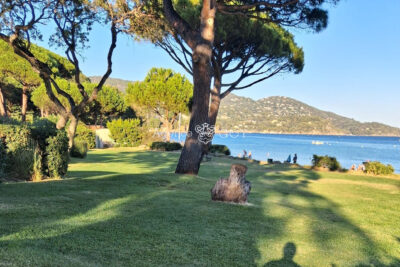 Appartement à vendre à Le Lavandou