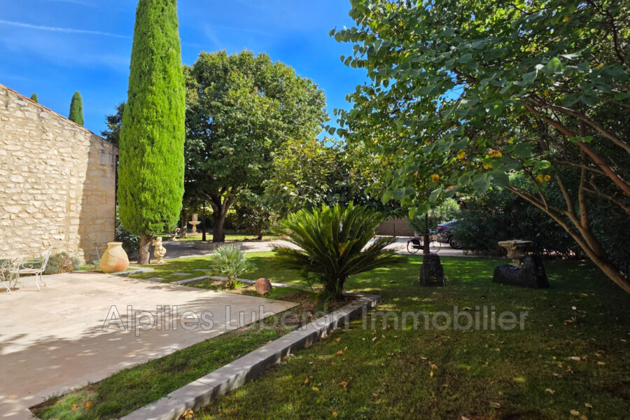 Maison à vendre à Mollégès — Vue parc & jardin — photo 20