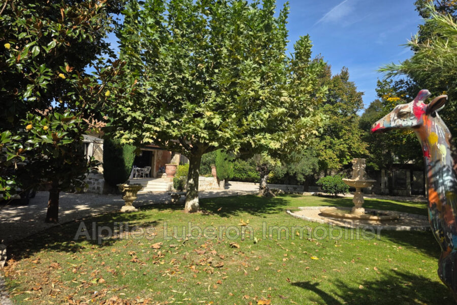 Maison à vendre à Mollégès — Vue parc & jardin — photo 6