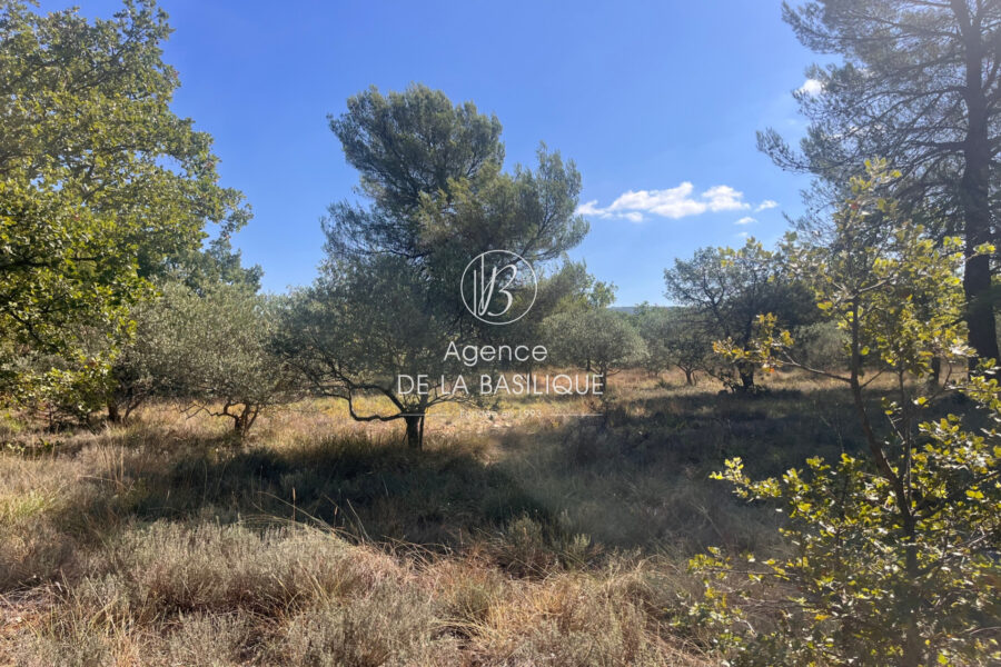 Terrain à vendre à La Verdière — Vue nature — photo 2