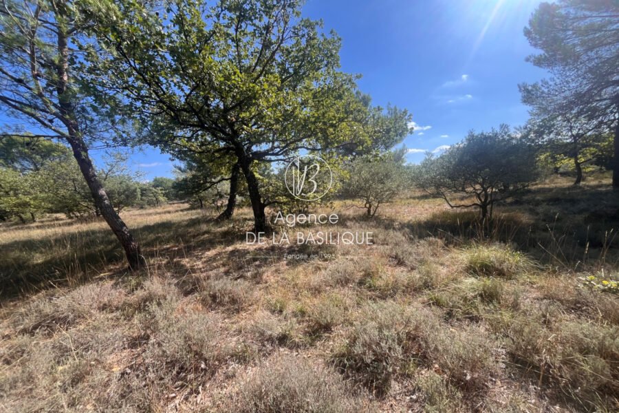 Terrain à vendre à La Verdière — Vue nature — photo 5