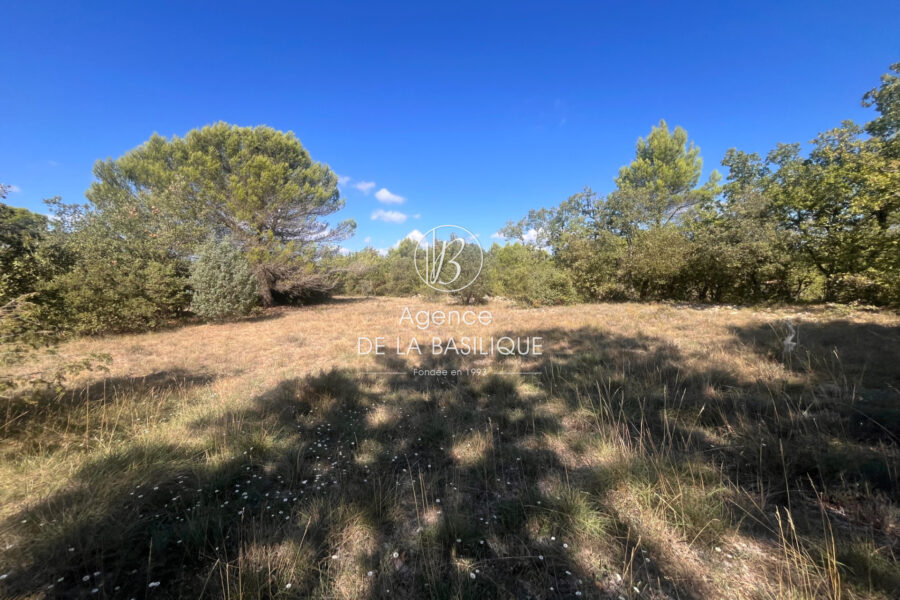 Terrain à vendre à La Verdière — Vue nature — photo 1