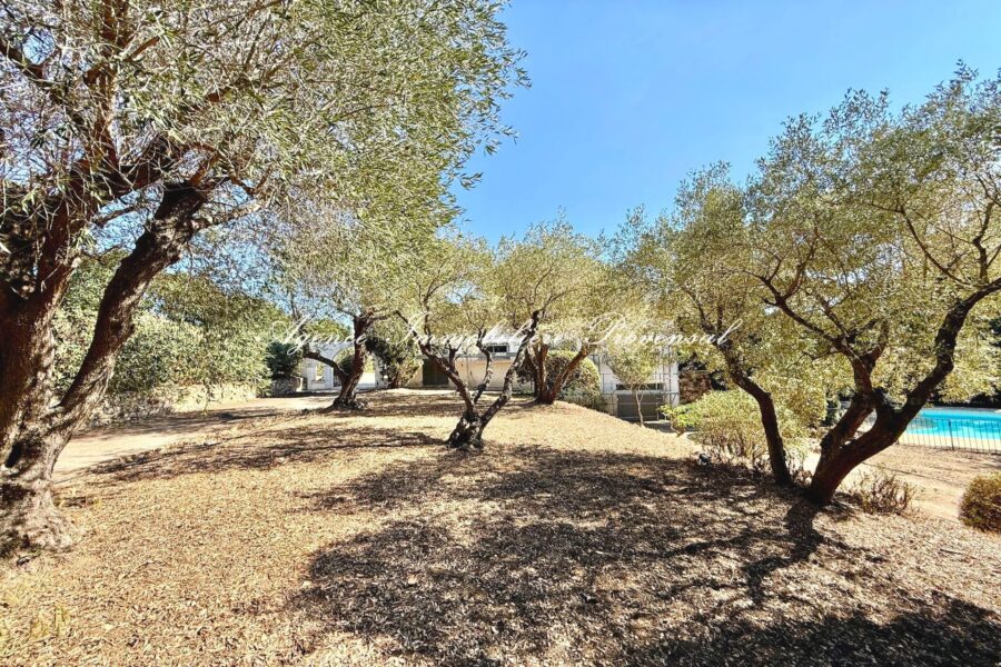 Maison à vendre à Grimaud — Vue mer — photo 8