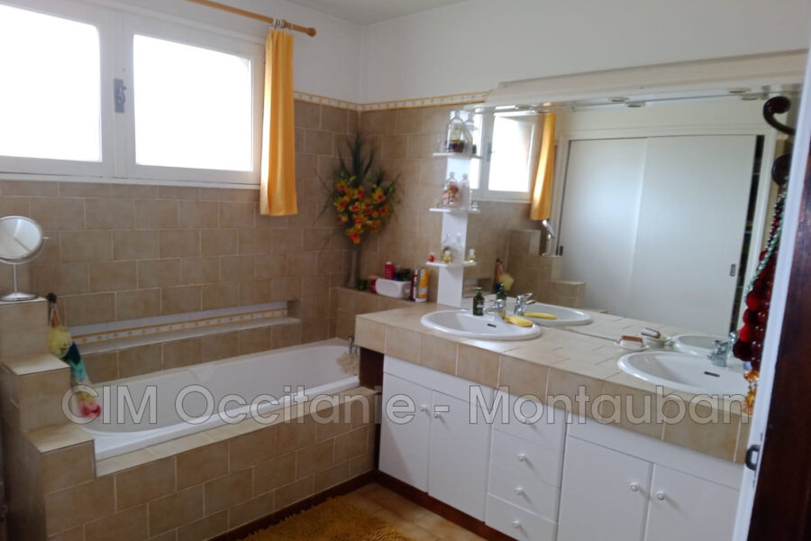 Maison à vendre à Saint-Porquier — Vue nature — photo 10