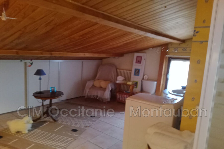 Maison à vendre à Saint-Porquier — Vue nature — photo 11