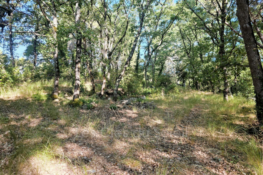 Maison à vendre à Brignoles — Vue nature — photo 6