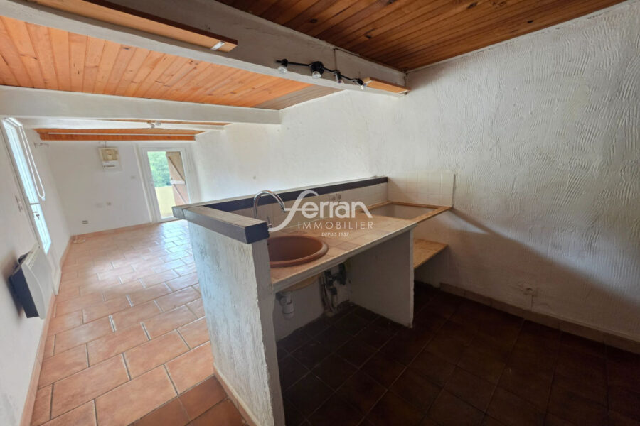 Maison à vendre à Saint-Antonin-du-Var — Vue nature — photo 4