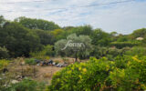 Maison à vendre à Saint-Antonin-du-Var — Vue nature — photo 11