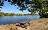 Maison à vendre à Clairac — Vue lac — photo 1