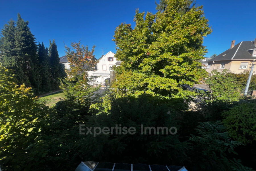 Maison à vendre à Colmar — Vue sur la ville — photo 10