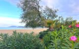 Appartement à vendre à Argelès-sur-Mer — Vue montagne — photo 15