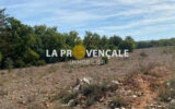 Terrain à vendre à Rians — Vue nature — photo 2
