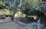 Maison à vendre à Maussane-les-Alpilles — Vue parc & jardin — photo 12