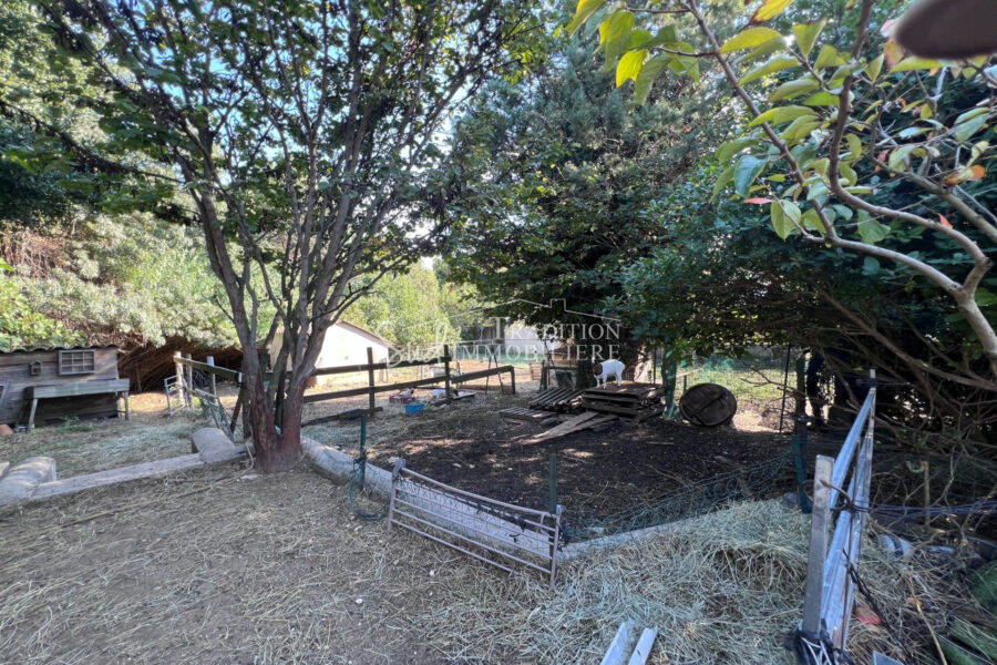 Maison à vendre à Maussane-les-Alpilles — Vue parc & jardin — photo 12