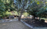 Maison à vendre à Maussane-les-Alpilles — Vue parc & jardin — photo 10