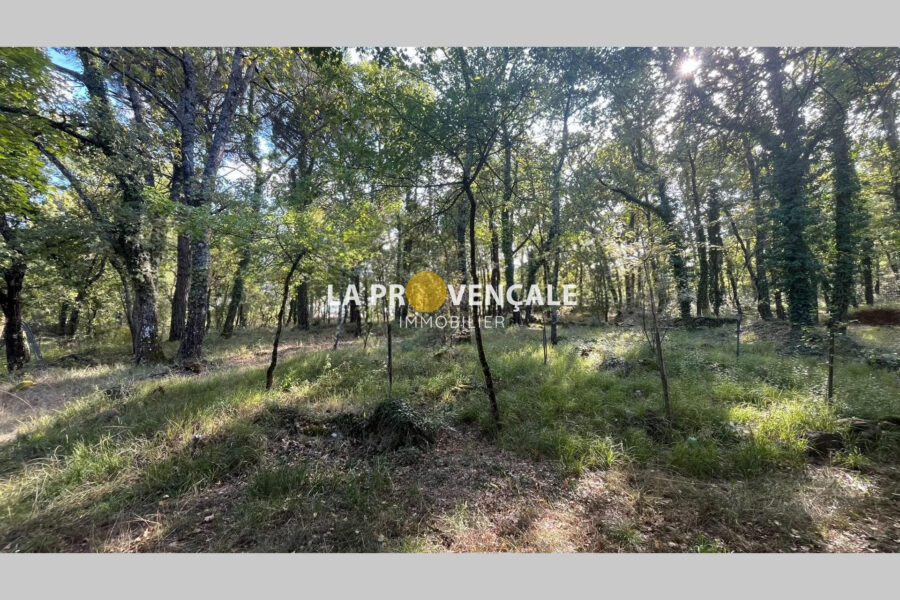 Maison à vendre à Saint-Maximin — Vue nature — photo 12