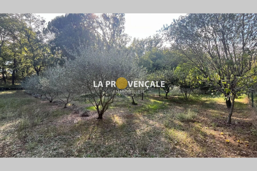 Maison à vendre à Saint-Maximin — Vue nature — photo 13