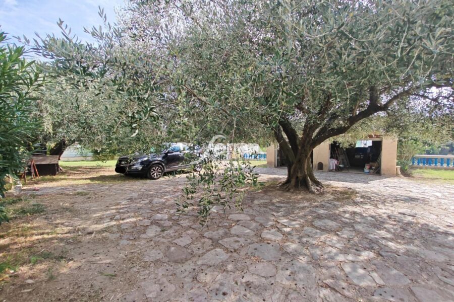 Maison à vendre à Trans-en-Provence — Vue nature — photo 8