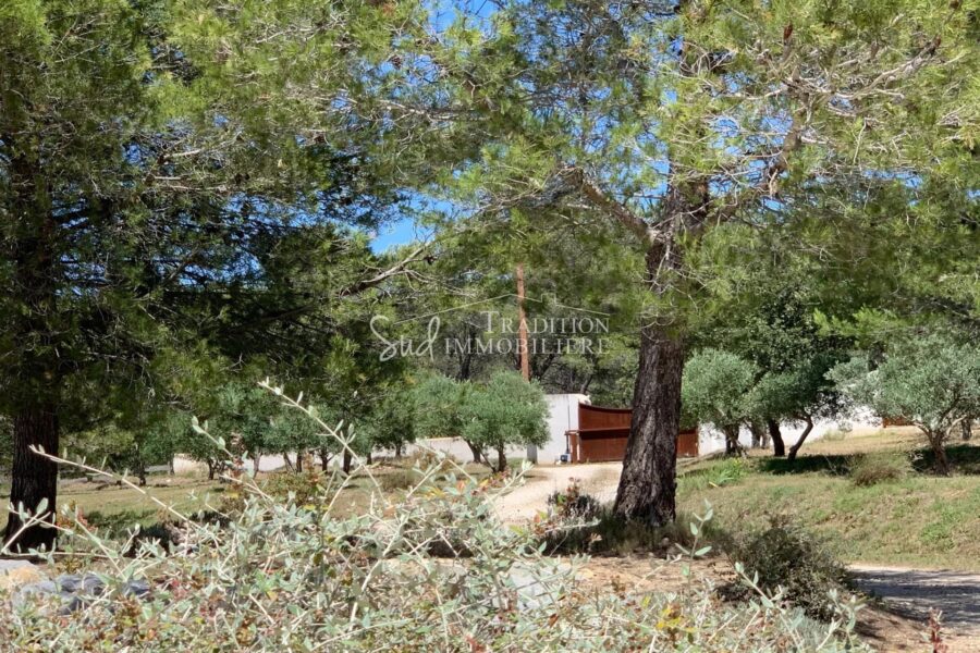 Maison à vendre à Boulbon — Vue nature — photo 8