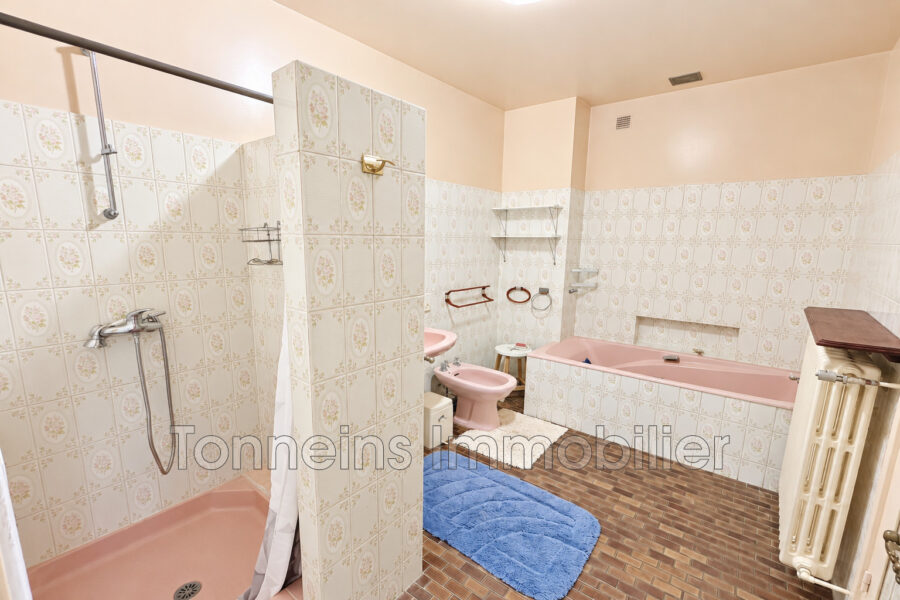Maison à vendre à Tonneins — Vue fleuve — photo 11