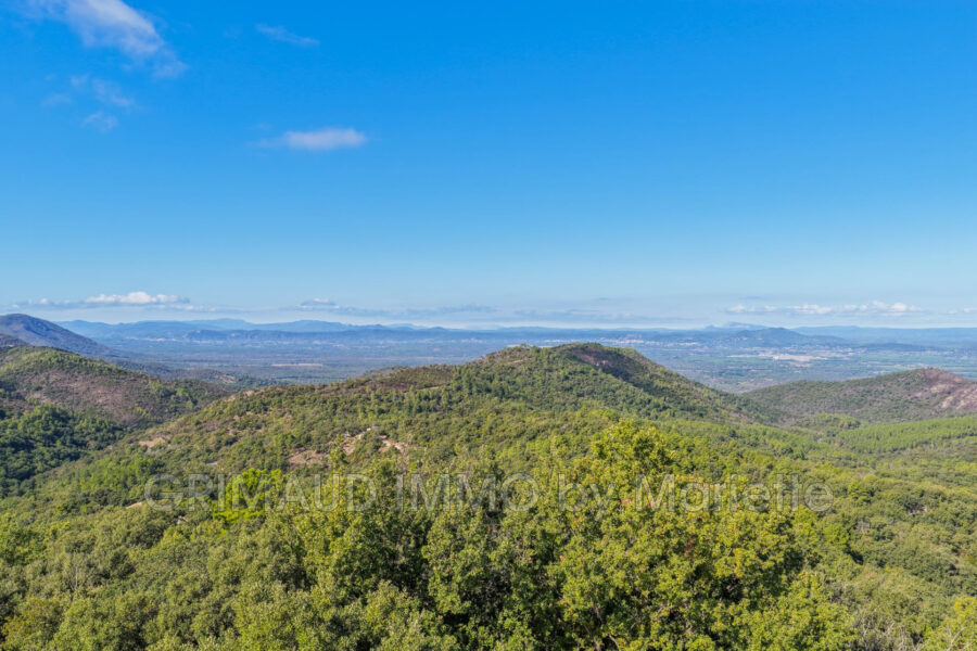 Maison à vendre à La Garde-Freinet — Vue nature — photo 1