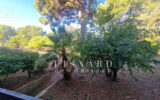 Appartement à vendre à Vallauris — Vue parc & jardin — photo 1