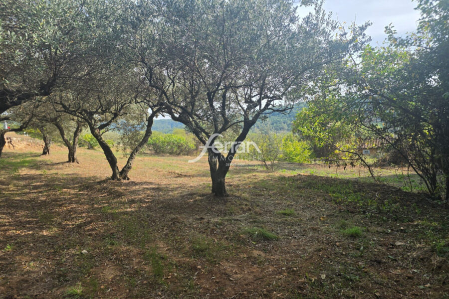 Terrain à vendre à Salernes — Vue nature — photo 5