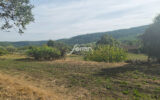 Terrain à vendre à Salernes — Vue nature — photo 4