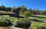 Maison à vendre à Le Plan-de-la-Tour — Vue nature — photo 13