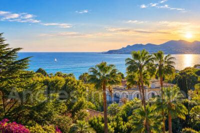 Appartement à louer à Cannes
