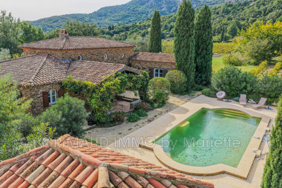 Maison à vendre à La Garde-Freinet — Vue nature — photo 6